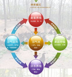 探索有机农产品全产业链 恒盛科技园内的菜篮子